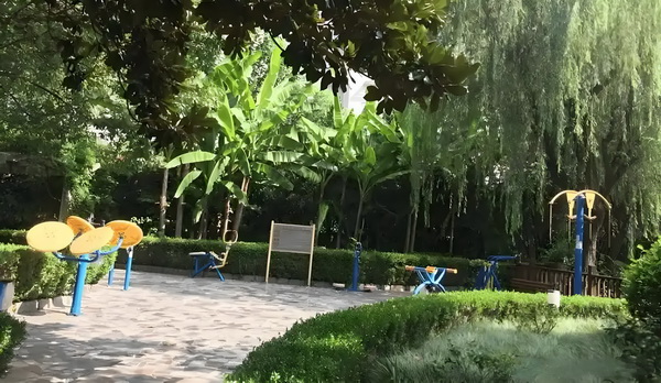 积分落户地点_2025暑期档大盘票房连续10天破亿 自作离婚与其地先聪明